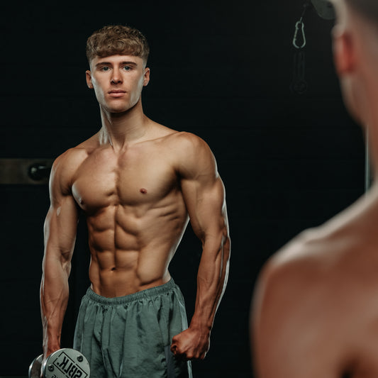 The Muscle Gain Plan